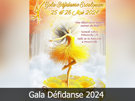 Gala Défidanse 2024