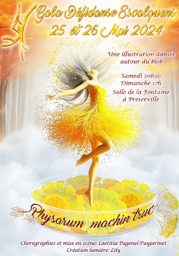 Gala de danse 2024 - Le blob physarum