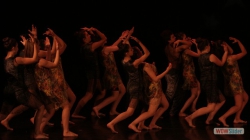 20140605 defi danse 0248