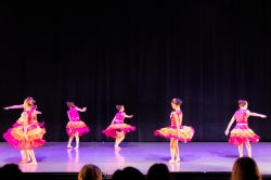 Tissus fete 09