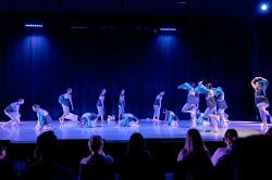 Indigo 08