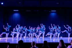 Indigo 12