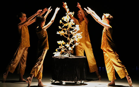 Danseuses Gingko